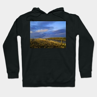 Sunshine in the hills Hoodie